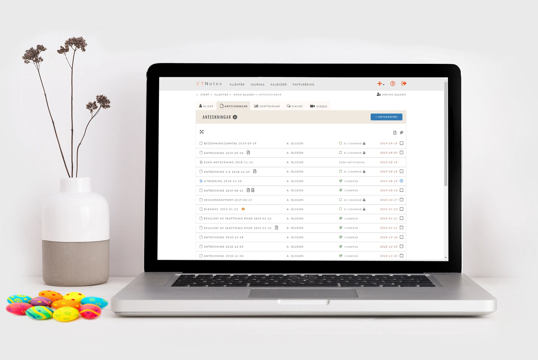 Journalprogram / Journalsystem psykoterapi